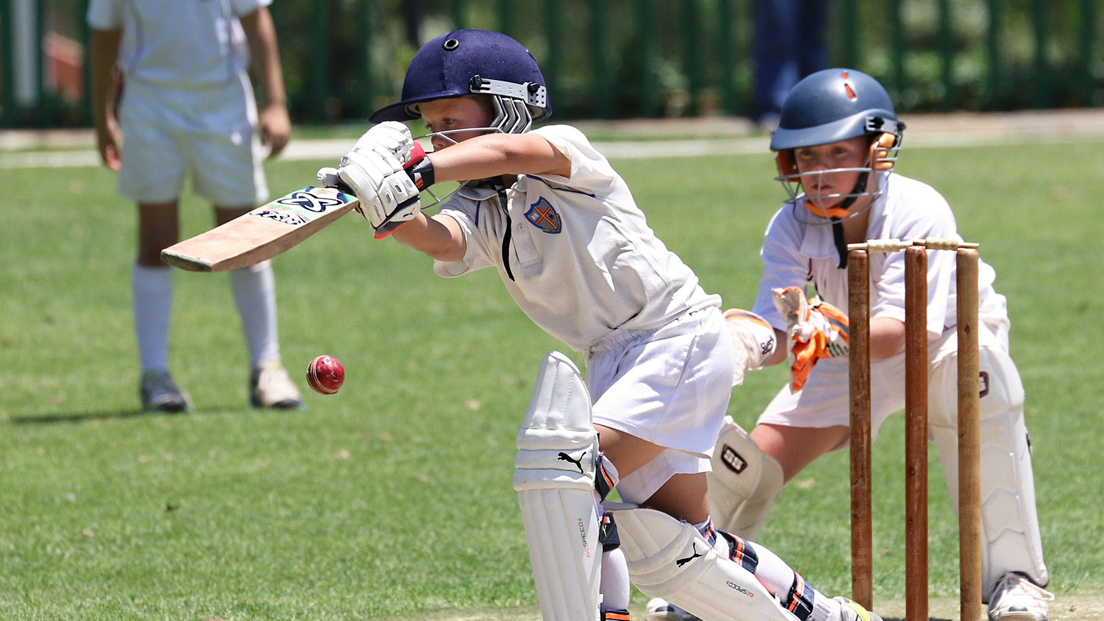 A young cricket batsman in a white kit, part of a SACA case study, plays a shot as a wicketkeeper crouches behind the stumps on a grassy pitch.