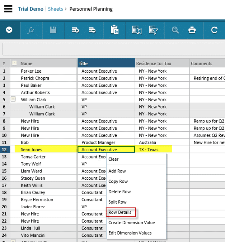 modelled sheets adaptive insights