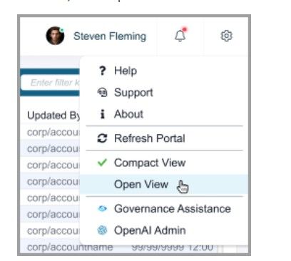 Dropdown menu on a user interface, featuring options like Help, Support, Compact View, Open View, Governance Assistance, Profisee release, and OpenAI Admin. A cursor highlights "Open View".