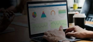 consultant working on FP& A software - Workday Adaptive Planning
