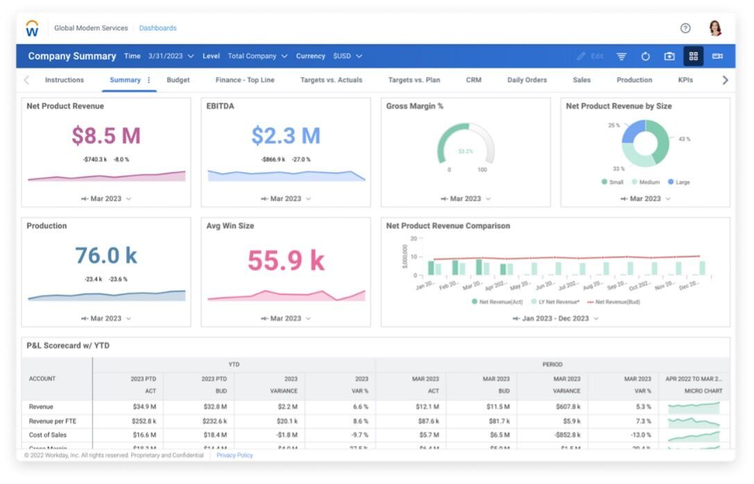 Sample company summary dashboard in Workday Adaptive Planning