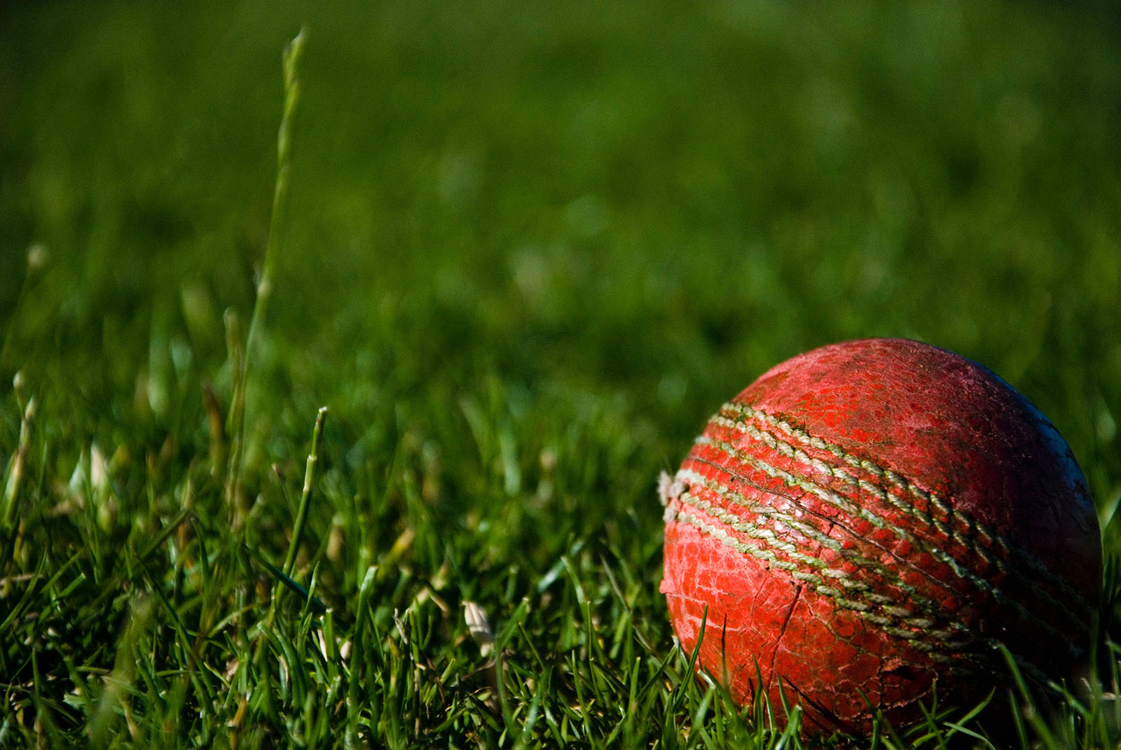 Cricket ball on green field