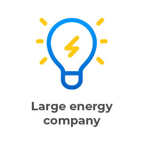 Icon of a light bulb with a yellow lightning bolt inside and rays around it, above the text 'Large energy company'